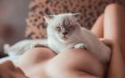 Ирина, 8 981 276-01-41 Ирина, рост: 156, вес: 48 - эротический массаж с сексом
